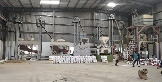 Advanced seed cleaning sorting machinery at Vistha seeds plant