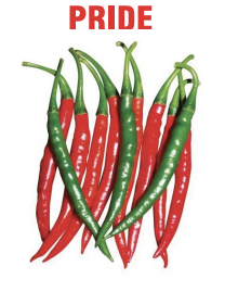 Pride Chilli Seeds Packaging