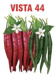 Vista 44 Chilli Seeds Packaging