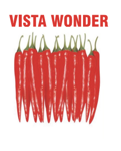 Vista Wonder Chilli Seeds Packaging