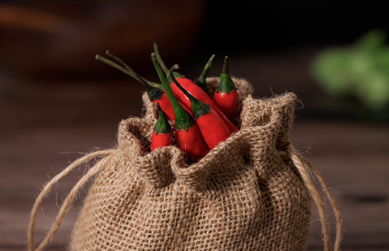 Vibrant red organic chillies growing on stems